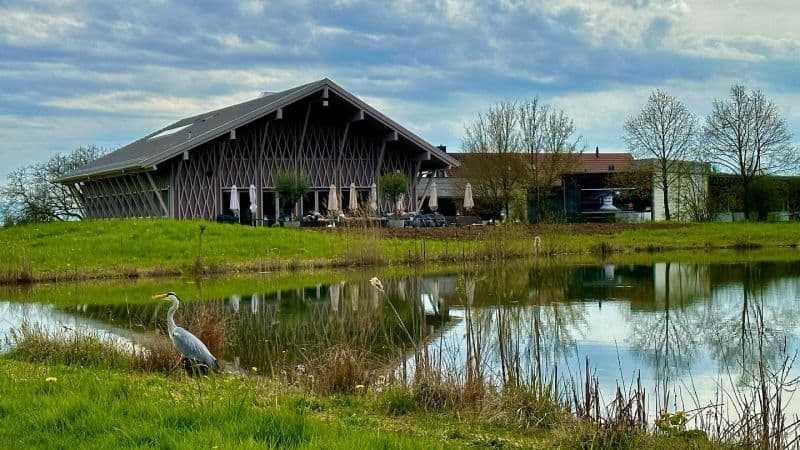 Modern building with large windows, outdoor seating, a lake, and a crane in the foreground