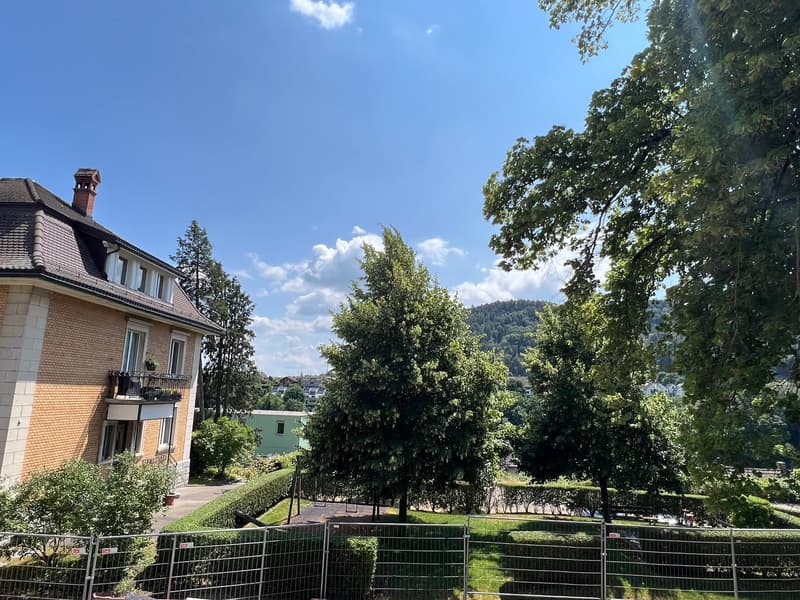 Charmante 4.5-Zimmer-Loftwohnung im Grünen an ruhiger Lage in Eglisau (3)