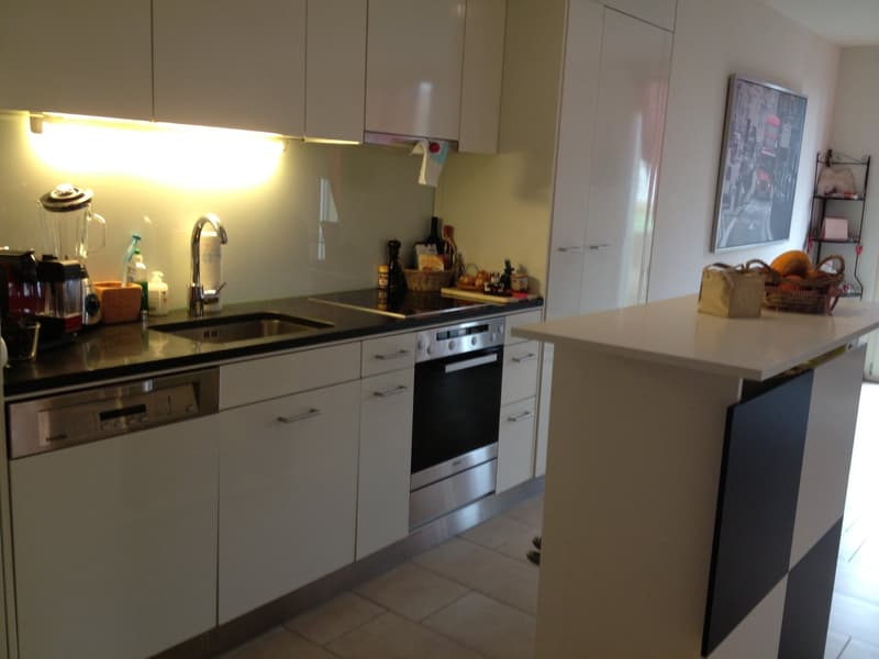 Moderne 2.5-Zimmer-Wohnung mit Ausicht in Rebberge im idyllischem Eglisau (6)