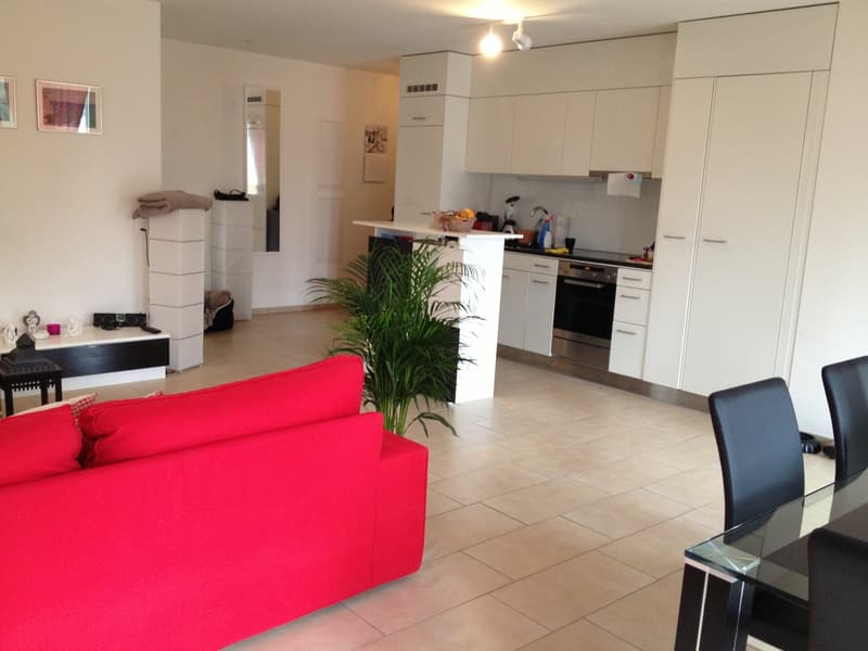 Moderne 2.5-Zimmer-Wohnung mit Ausicht in Rebberge im idyllischem Eglisau (4)