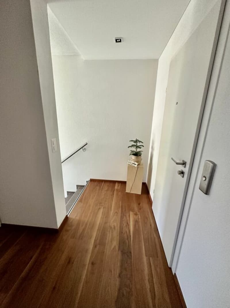 Stilvolle 5.5-Zimmer-Attikawohnung mit Weitsicht in bester Lage in der Steueroase (20)