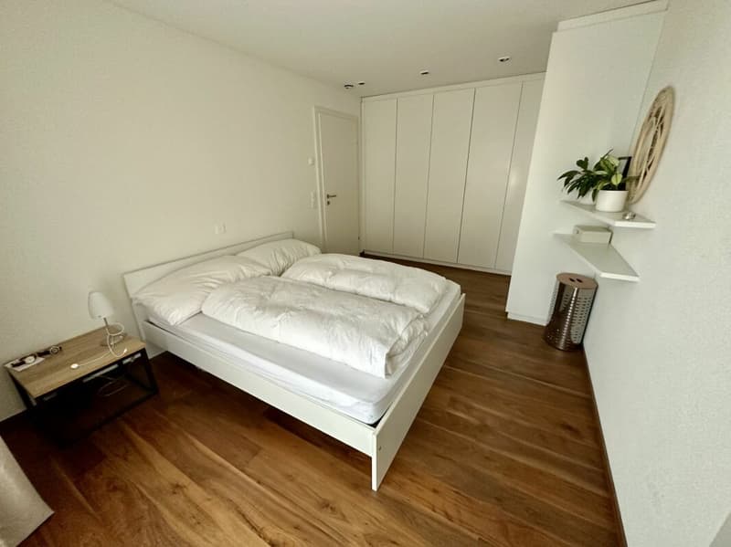 Stilvolle 5.5-Zimmer-Attikawohnung mit Weitsicht in bester Lage in der Steueroase (9)