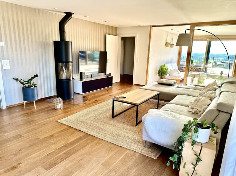 Stilvolle 5.5-Zimmer-Attikawohnung mit Weitsicht in bester Lage in der Steueroase (6)