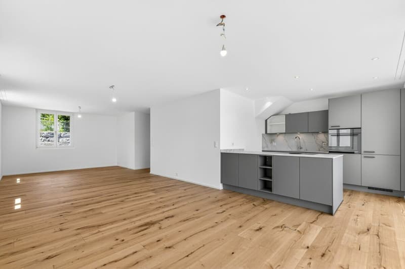 Freistehendes Neubau-Einfamilienhaus in Gams - 4.5 Zimmer Wohngenuss für die ganze Familie (7)