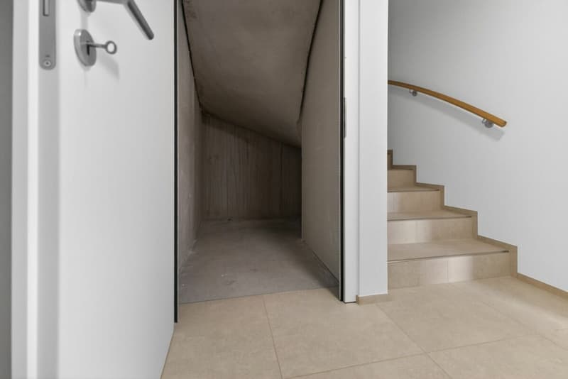 Modernes 5.5-Zimmer-Einfamilienhaus mit flexibler 2.5-Zimmer-Einliegerwohnung (23)