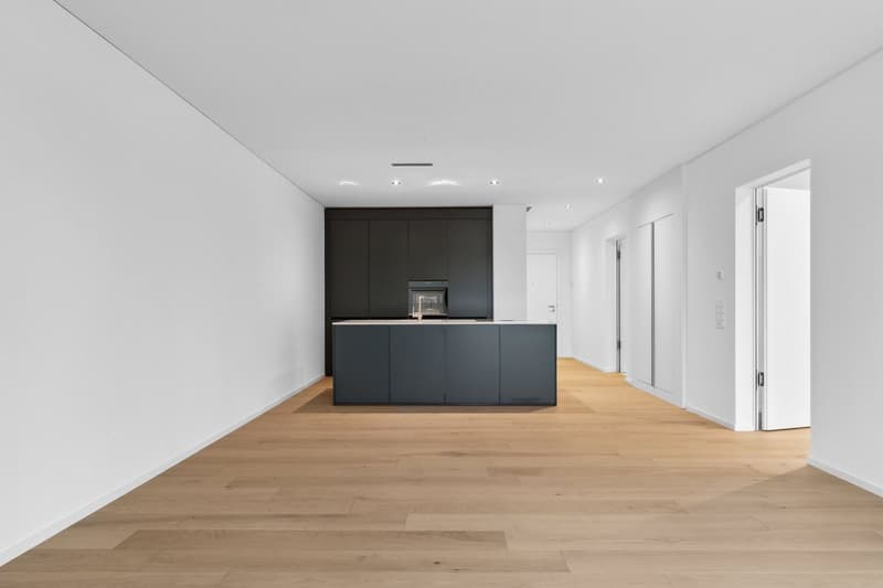 Schöne 2.5-Zimmerwohnung in Zürich-Wollishofen (6)