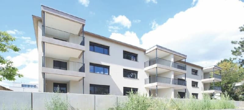 Ottima opportunità - Appartamento di 2½ locali con giardino e allestimento individuale ad Allschwil (3)