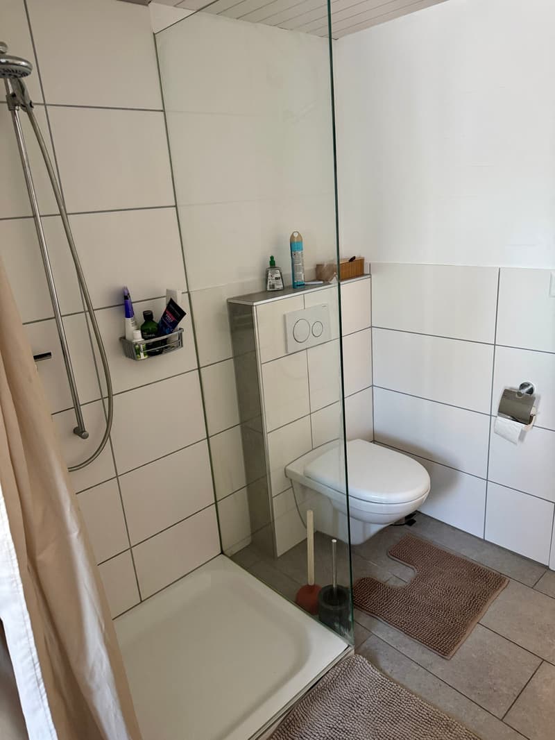 Geräumige Dachwohnung im Herzen von Wil (6)
