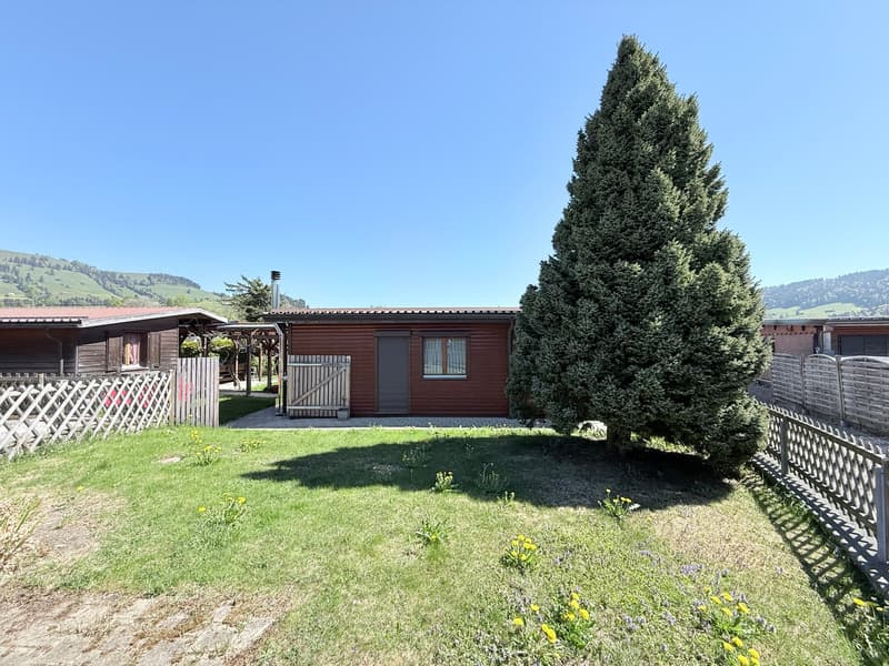 Chalet Suneschii (9)