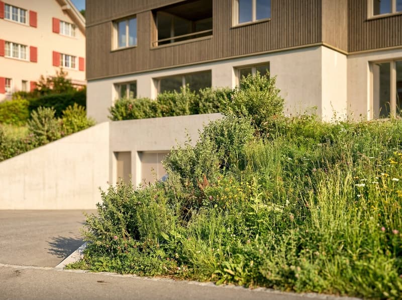 Modern building with brown wooden facade, white walls, multiple windows, garage entrance, and a sloped grassy area.