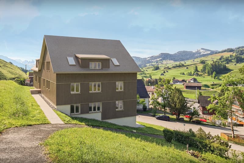 Modern house, brown exterior, large windows, located on a hill, surrounded by green fields and mountains