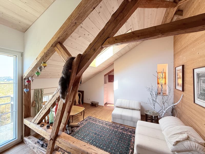 Toggenburg pur (4)
