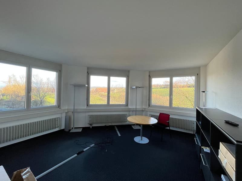 Beautiful & Central Office Space for Rent (14)