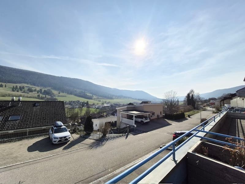 Villa mitoyenne 6 pièces avec terrasse, vue dégagée et garage (4)