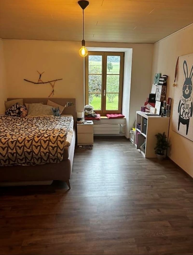 Appartement lumineux de 5.5 pièces à Villiers (3)