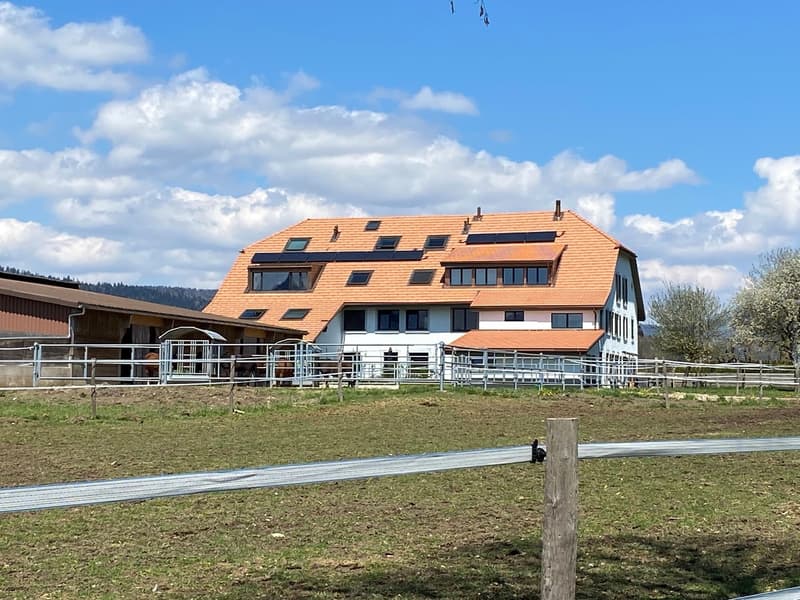 Magnifique 3.5 pièces avec vue dégagée sur la campagne (10)