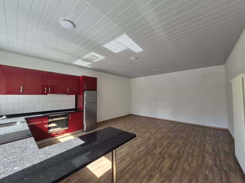 Maison de ville rénovée 2018 – 4.5 pièces, terrasse 61m², garage double (3)