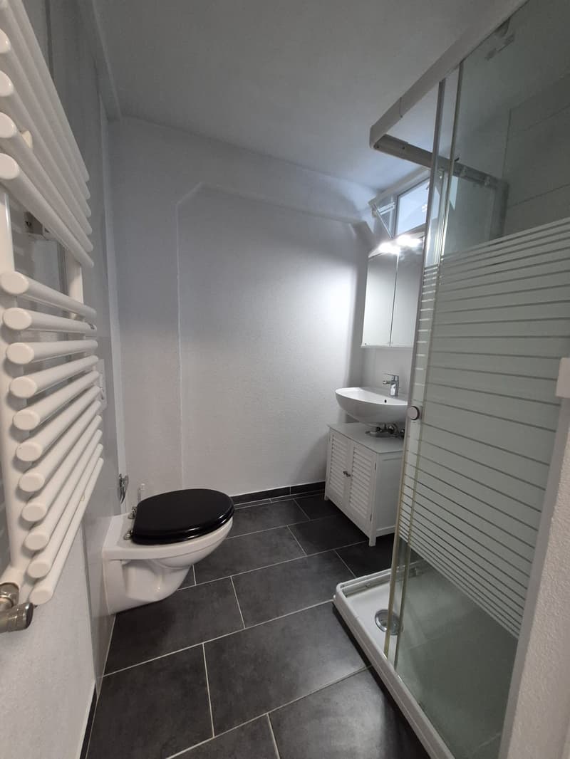 Maison de ville rénovée 2018 – 4.5 pièces, terrasse 61m², garage double (8)