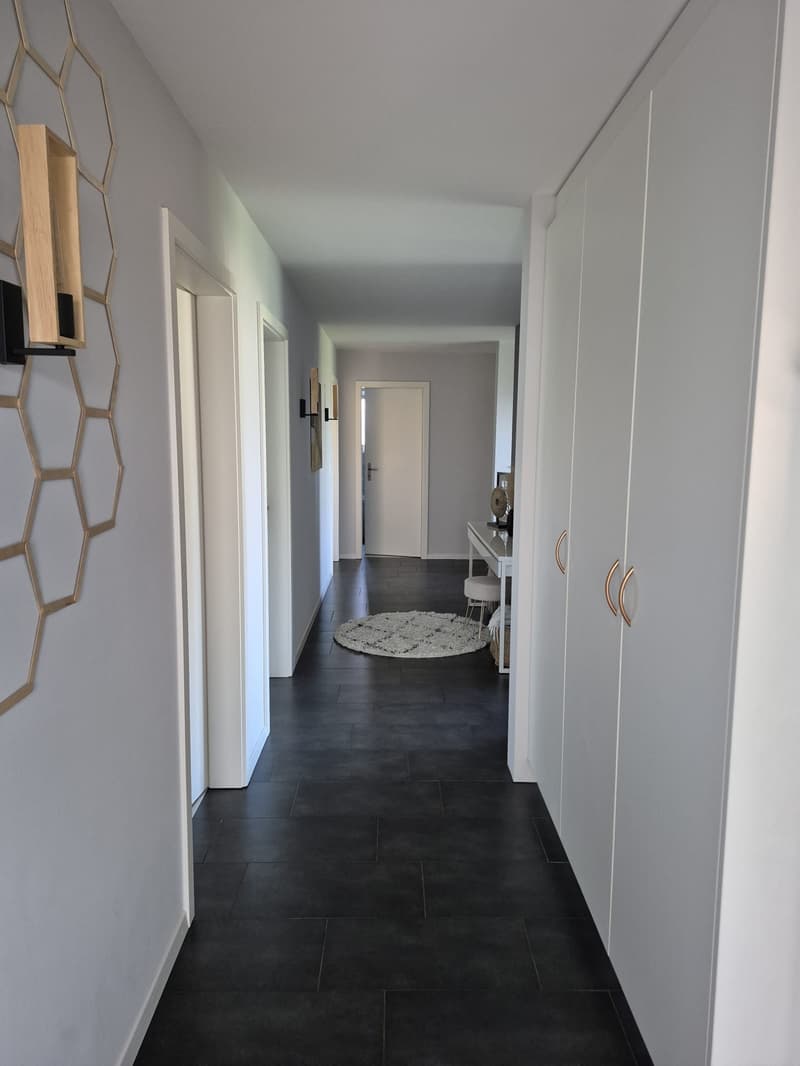 Vivre comme dans une maison, à deux pas du lac (17)