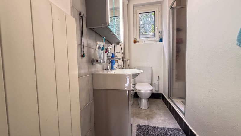 Zweifamilienhaus (2 Einheiten) mit grossem Garten in Bettlach kaufen (13)