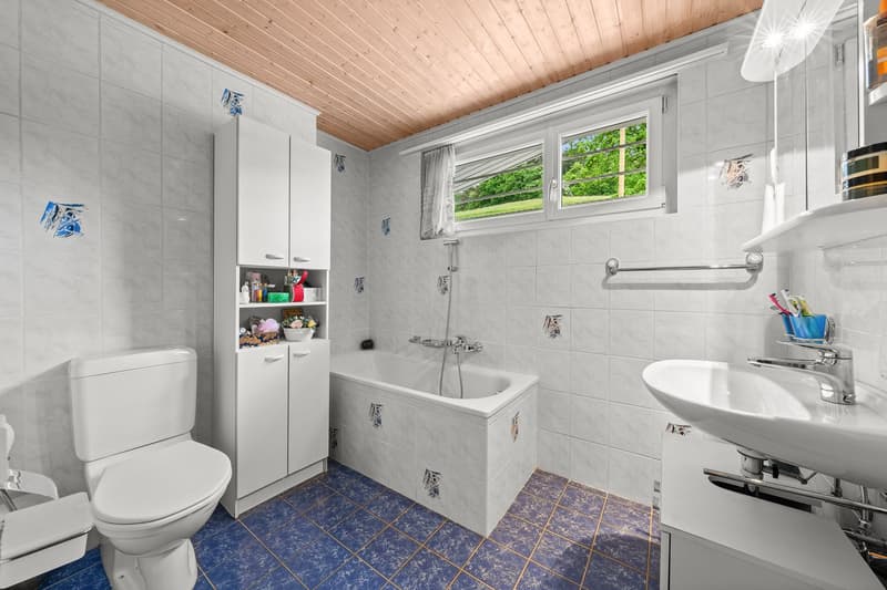 7.5-Zimmer-Einfamilienhaus mit Wintergarten in Trimbach kaufen (13)