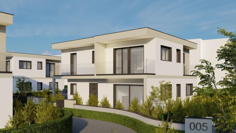 5.5-Zi.-Neubau-EFH mit PV in Däniken - ruhig & modern (1)
