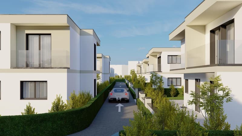 5.5-Zi.-Neubau-EFH mit PV in Däniken - ruhig & modern (2)
