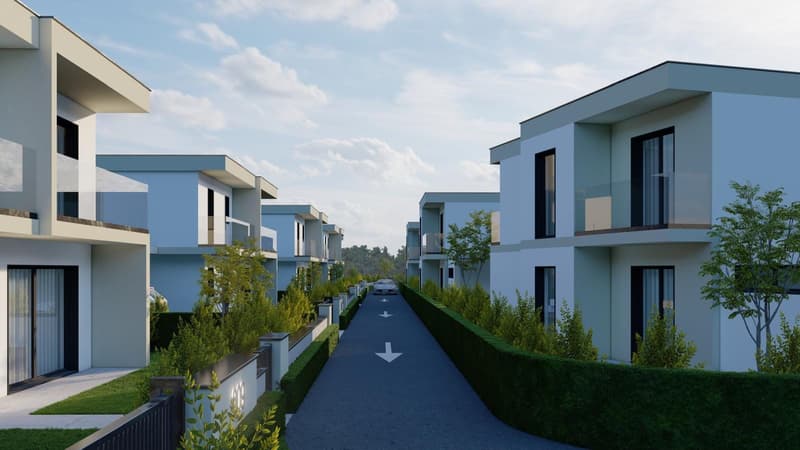 5.5-Zi.-Neubau-EFH mit PV in Däniken - ruhig & modern (3)
