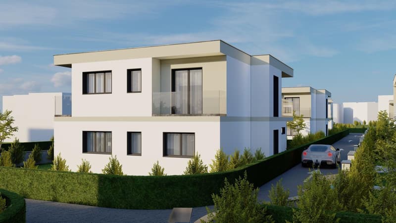 5.5-Zi.-Neubau-EFH mit PV in Däniken - ruhig & modern (8)