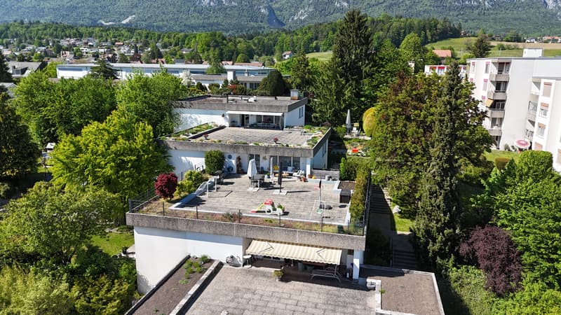 Bellach: 5.5-Zimmer-Terrassenhaus, 200 m² Terrasse, renoviert (1)