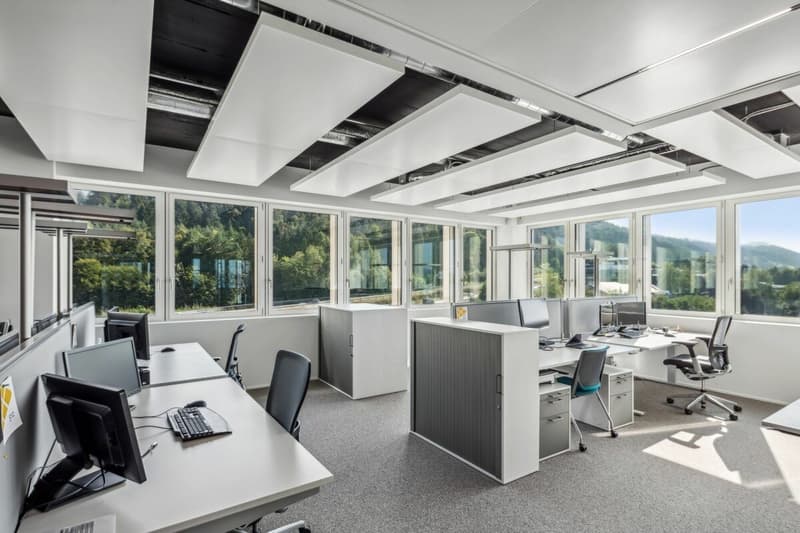 Ihr Firmensitz im repräsentativen und einzigartigen Geschäftshaus Seedamm-Center (3)