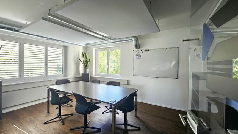 Schön ausgebaute und praktisch unterteilte Büro-/Gewerbefläche «Plug & Work» (4)
