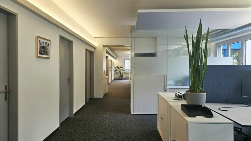 Schön ausgebaute und praktisch unterteilte Büro-/Gewerbefläche «Plug & Work» (7)