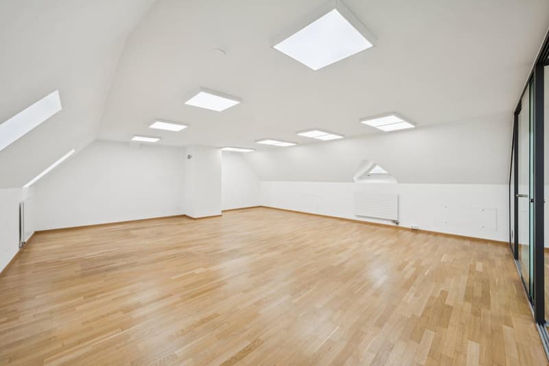 Grand espace de bureau au centre de Basel-Stadt (6)