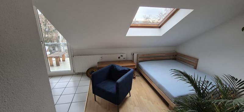 3.0 camere appartamento a Basilea (2)