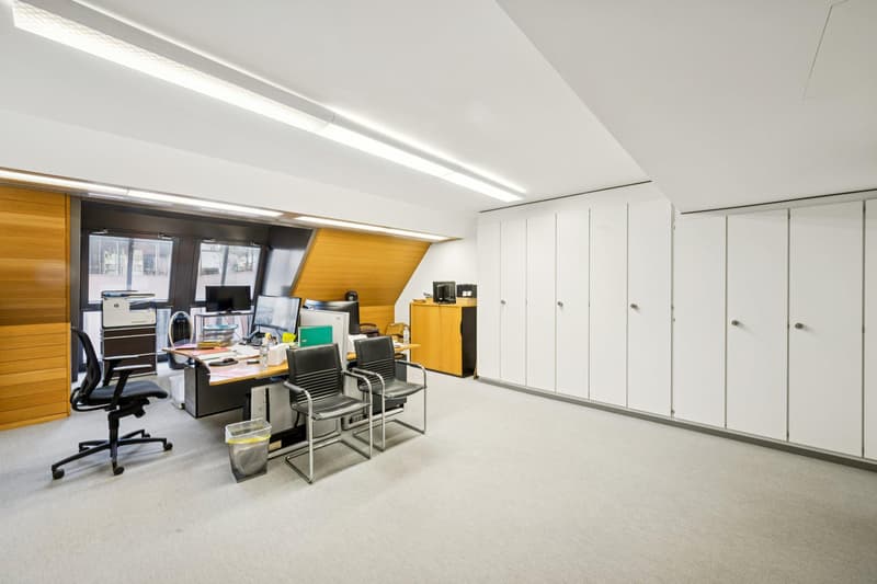 Bürofläche mit Charakter im Herzen von Basel (3)