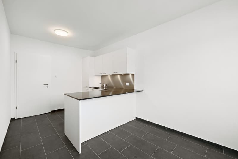 Appartement lumineux de 2,5 pièces au 1er étage (2)