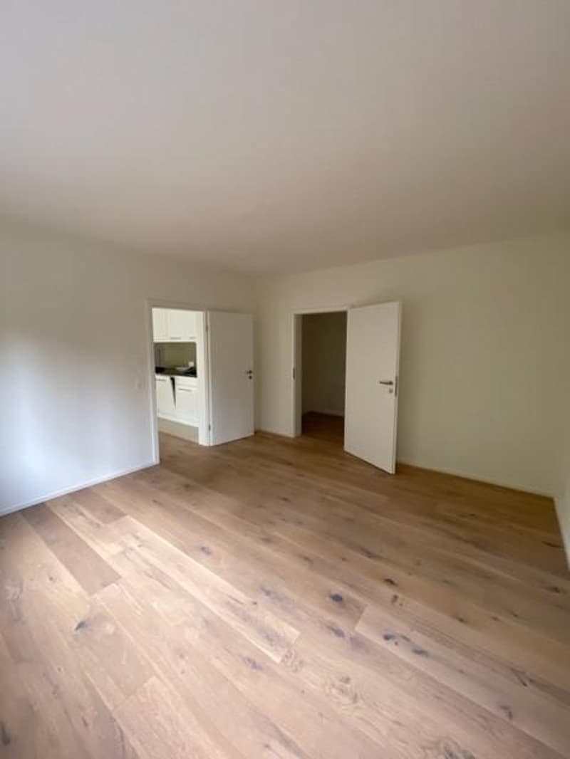 Appartement de 2,5 pièces élégant à la gare de Liestal (5)