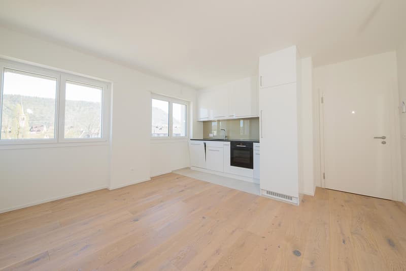 Sanierte 4.5 Zimmerwohnung mit Weitsicht (4)