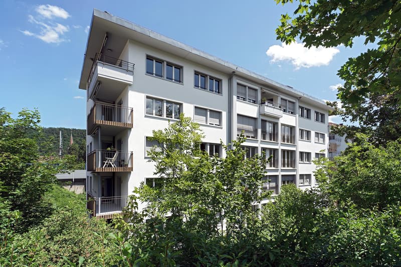 3.5-Zimmerwohnung mit hochwertigem Ausbau (9)