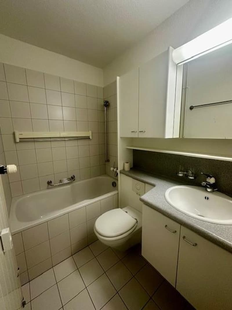 4.5 Zimmerwohnung in Rheinfelden (4)