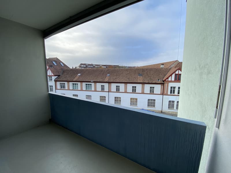 Moderne 1-Zimmerwohnung mit heller Wohnatmosphäre (3)