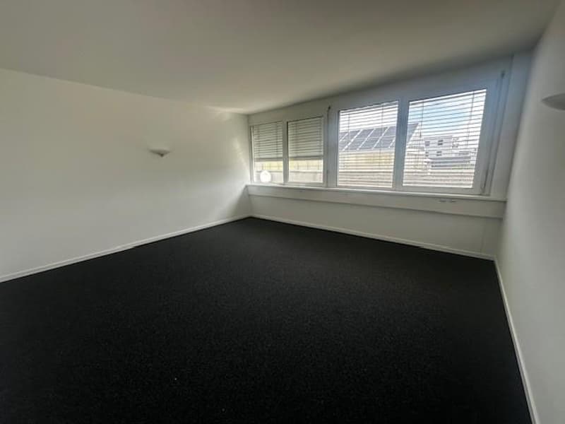 Gewerbe in Allschwil (3)