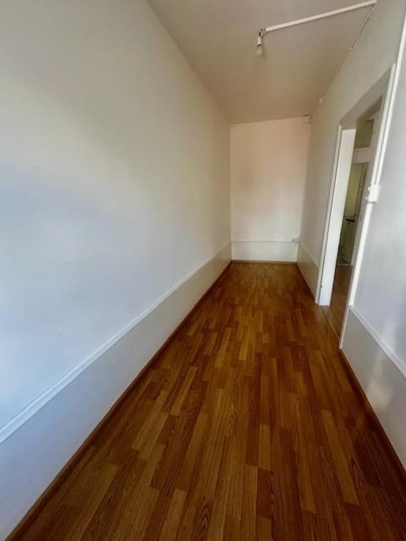 2-Zimmerwohnung im Herzen von Basel (3)
