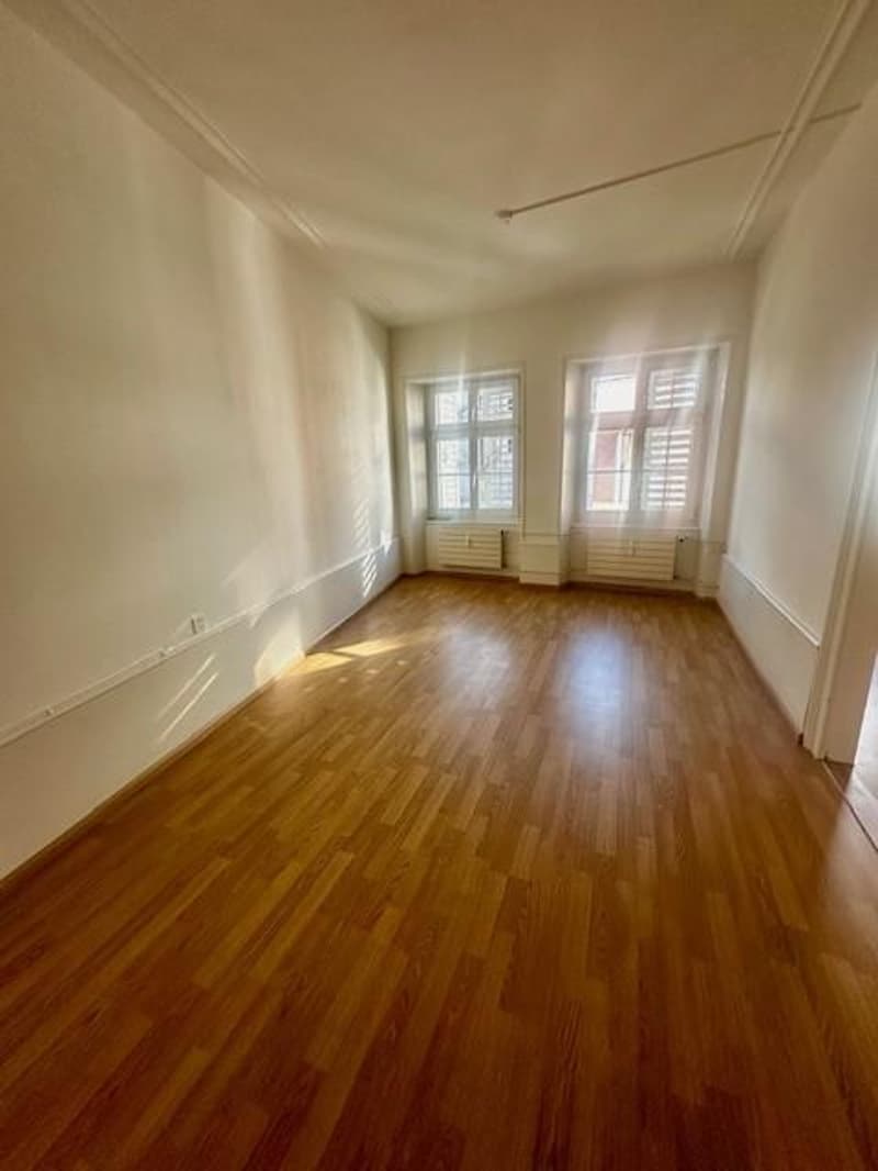 2-Zimmerwohnung im Herzen von Basel (2)