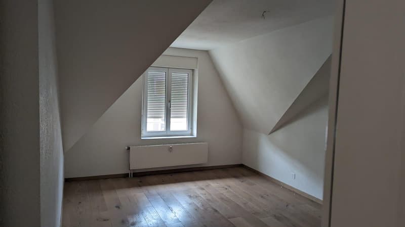 4.0 Zimmerwohnung in Basel (9)