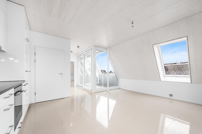 Top moderne 2.5-Zimmer-Wohnung mit viel Sonnenschein (3)