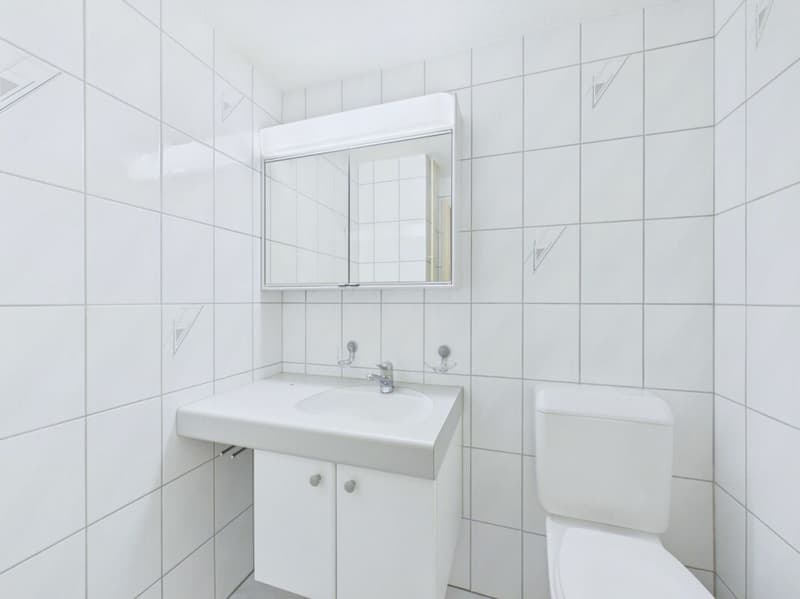 4.5-Zimmer-Maisonette befristet für 1 Jahr zu vermieten (3)