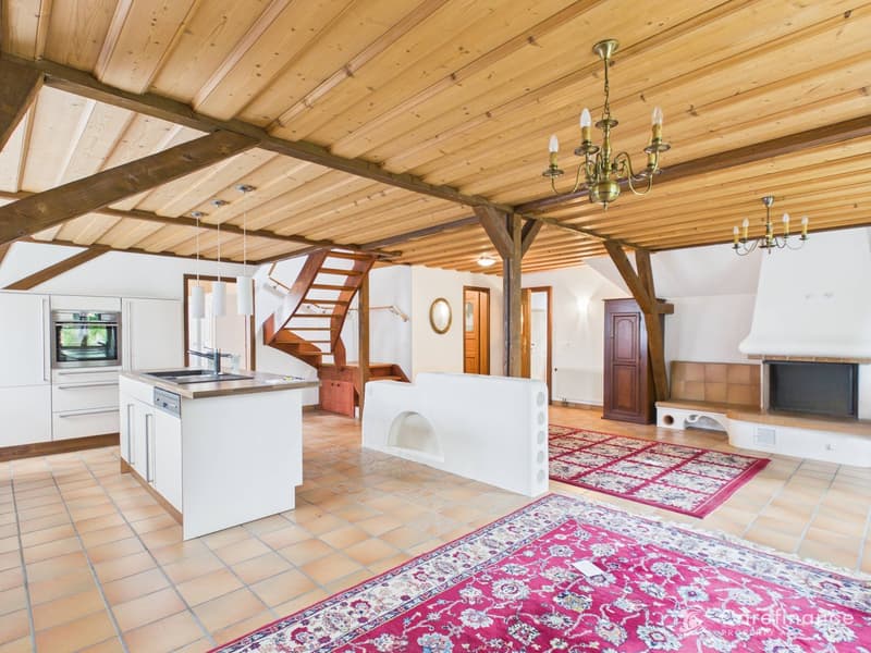 Charmantes 8-Zimmer-Zweifamilienhaus mit Gartenparadies und vielseitigen Nutzungsmöglichkeiten (5)