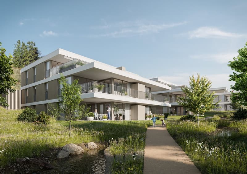 Unsere letzte 2.5-Zimmer-Attikawohnung, im Neubauprojekt Bachgarten (1)